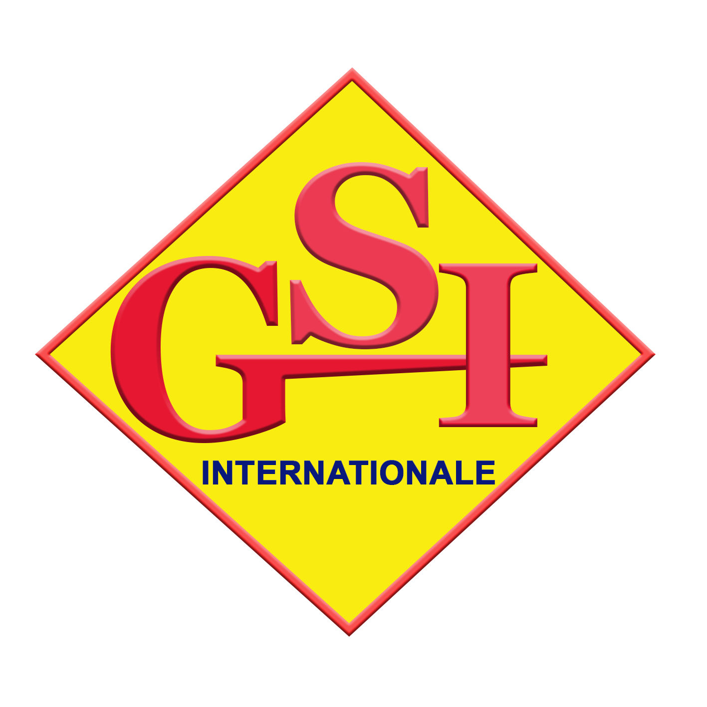 GSI INTERNATIONALE